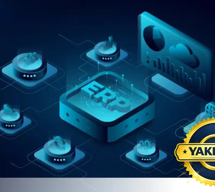 İleri Seviye ERP Eğitimi