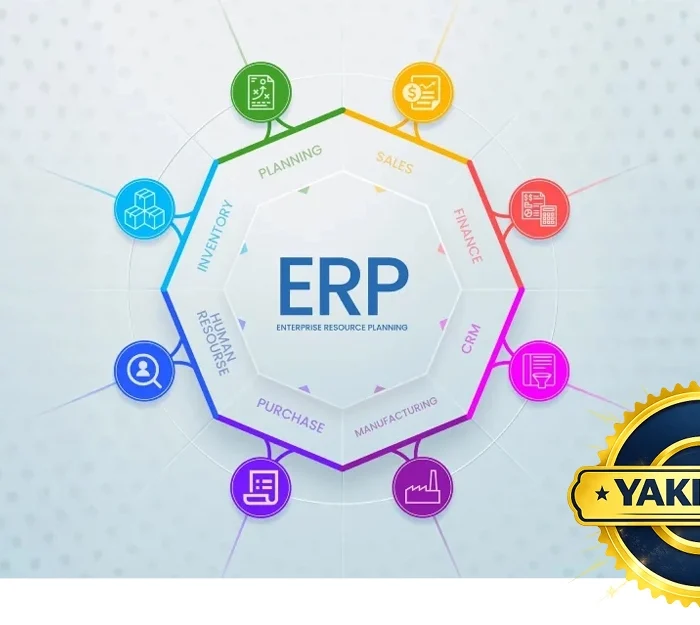 Orta Seviye ERP Eğitimi